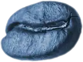 grano